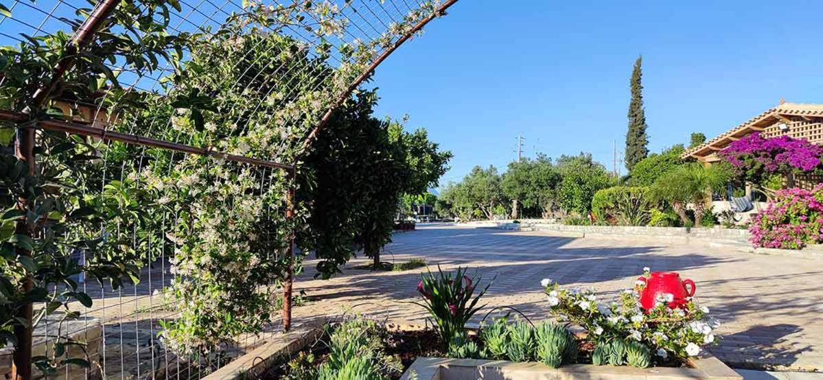 Stonehouse Olivelia - Afrathias Beach Tympaki Ngoại thất bức ảnh
